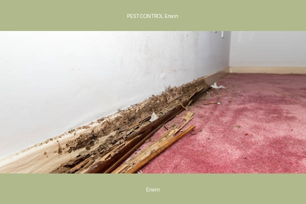 PEST CONTROL Erwin